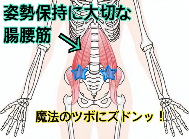 姿勢保持にリライズベルト